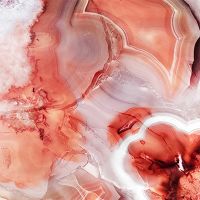 Living coral gemstone - cafelab - Emanuela Carratoni