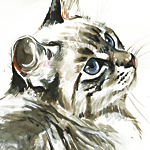 Flöckchen 2 - Wild and Free by Timo Wuerz