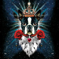 Boston Terrier King - Margarita Kriebitzsch