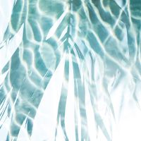 Water reflections 2 - Mareike Böhmer