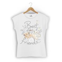 Simba and Nala friends - Disney 