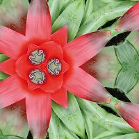 Blumen M87 - Reality Pattern