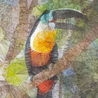 Exotic Woods - Ancello