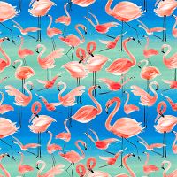 Flamingo Pink - Ninola Design