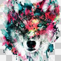 Wolve ohne Hintergrund - Riza Peker