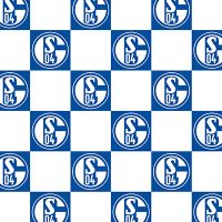 Logos Schalke 04 - Schalke 04