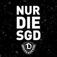 Nur die SGD - Grau - Dynamo Dresden