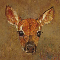 Fawn - Ancello