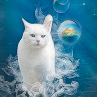 Cats vs Fish - Greenfeed