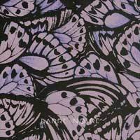 Ailes violettes - BARRE NOIRE