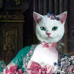 Katze Madame - Margarita Kriebitzsch