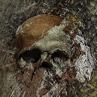 Skullzston - Greenfeed