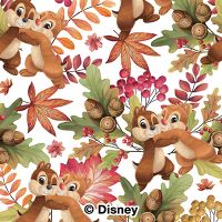 Chip and Chap Pattern - Disney 