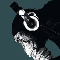 Thinking Ape Blue - REINDERS POSTERS BV