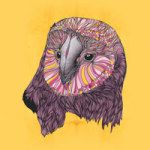 Lovely Owl - Danny Ivan