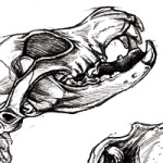 Sacrifice - DeinDesign