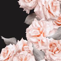 Black Rose Flowerwall - UtART