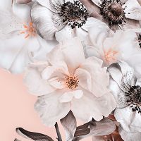 Rose Fowerwall - UtART