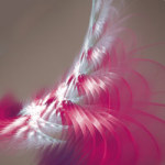 Surfing the Light - Mariequita