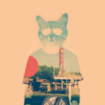 The Cat Ip - Ali Gulec