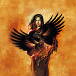 Animalis - Timo Wuerz