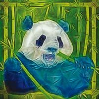 Granda Panda - Ancello