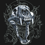 Pumaschädel - Wild and Free by Timo Wuerz