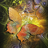 Butterfly Garden - Greenfeed