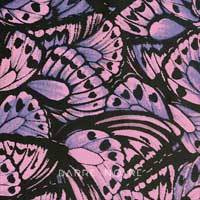 Ailes roses - BARRE NOIRE