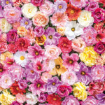 Marvellous - DeinDesign