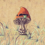 Beware of the bad Mushy - Webbelart