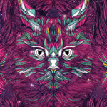 Mandala Cat - Danny Ivan