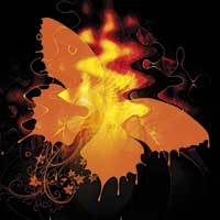 Burn and Fly - Greenfeed