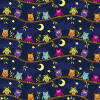 Nachteulen - Ancello