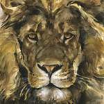 Löwenkopf - Wild and Free by Timo Wuerz