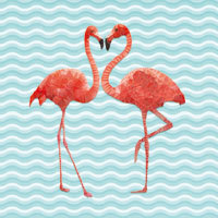 Flamingo Dance - Ancello