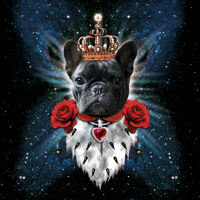 Französische Bulldogge King - Margarita Kriebitzsch