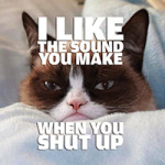 The sound - VISUAL STATEMENTS