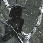 Rabe 2 - Wild and Free by Timo Wuerz