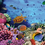 Beautiful Water - DeinDesign