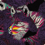 Color Husky - Danny Ivan