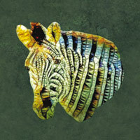 Portrait de zèbre - Ancello