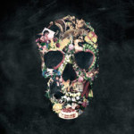Vintage Skull - Ali Gulec