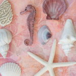 Souvenirs - DeinDesign