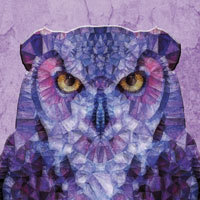 Purple Owl - Ancello