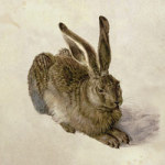 Hare - Bridgeman Art