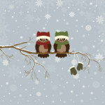 Chouettes d'hiver - DeinDesign