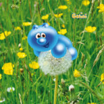 Gelini - Pusteblume - Gelini