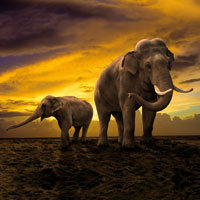 This is Afrika - DeinDesign