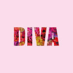 DIVA - Statement Collection